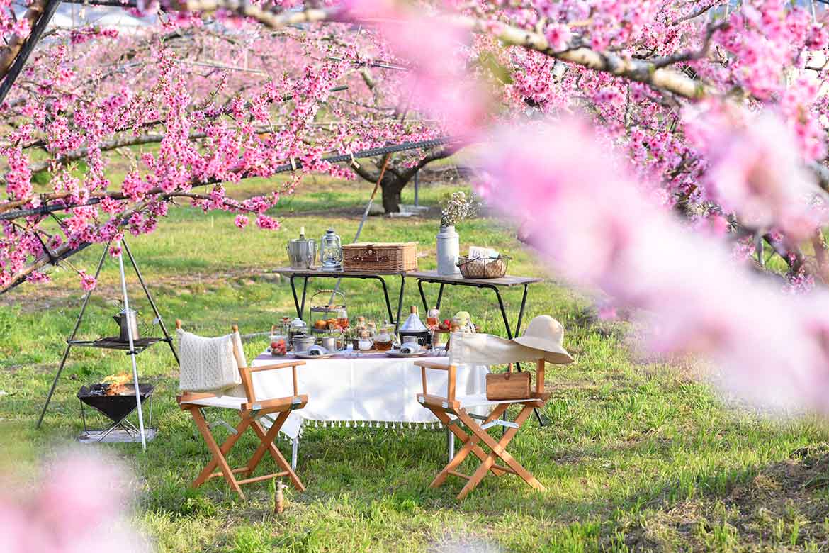 桃に囲まれた特別席で優雅な花見。星のや富士「桃源郷グランピングランチ」限定開催