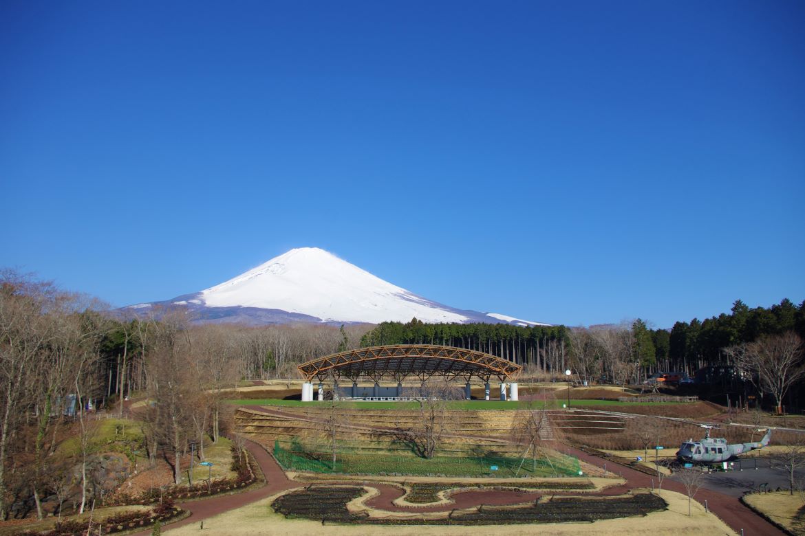 遊んで、学んで、癒される複合施設公園「富士山樹空の森」
