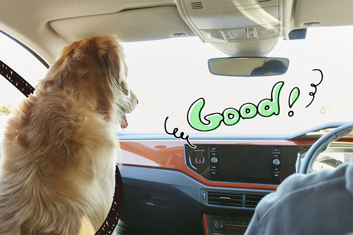 【PR】愛犬ラッキー、初ドライブに挑戦!!