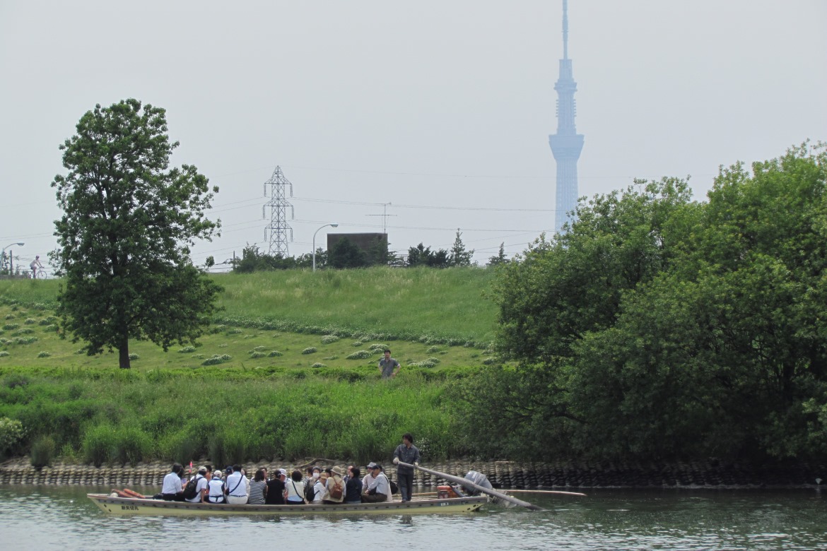 船頭の手漕ぎ舟で江戸川トリップ「矢切の渡し」