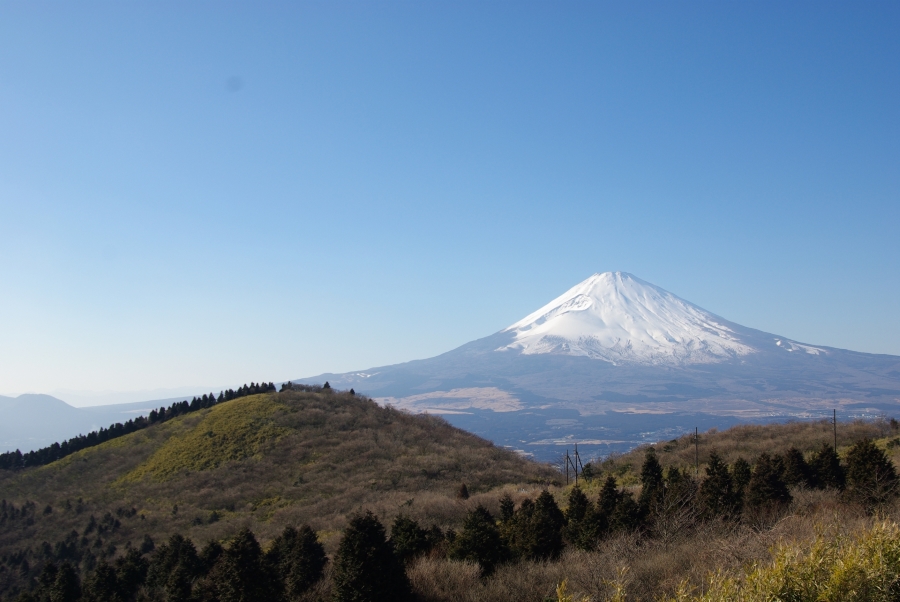 芦ノ湖スカイライン