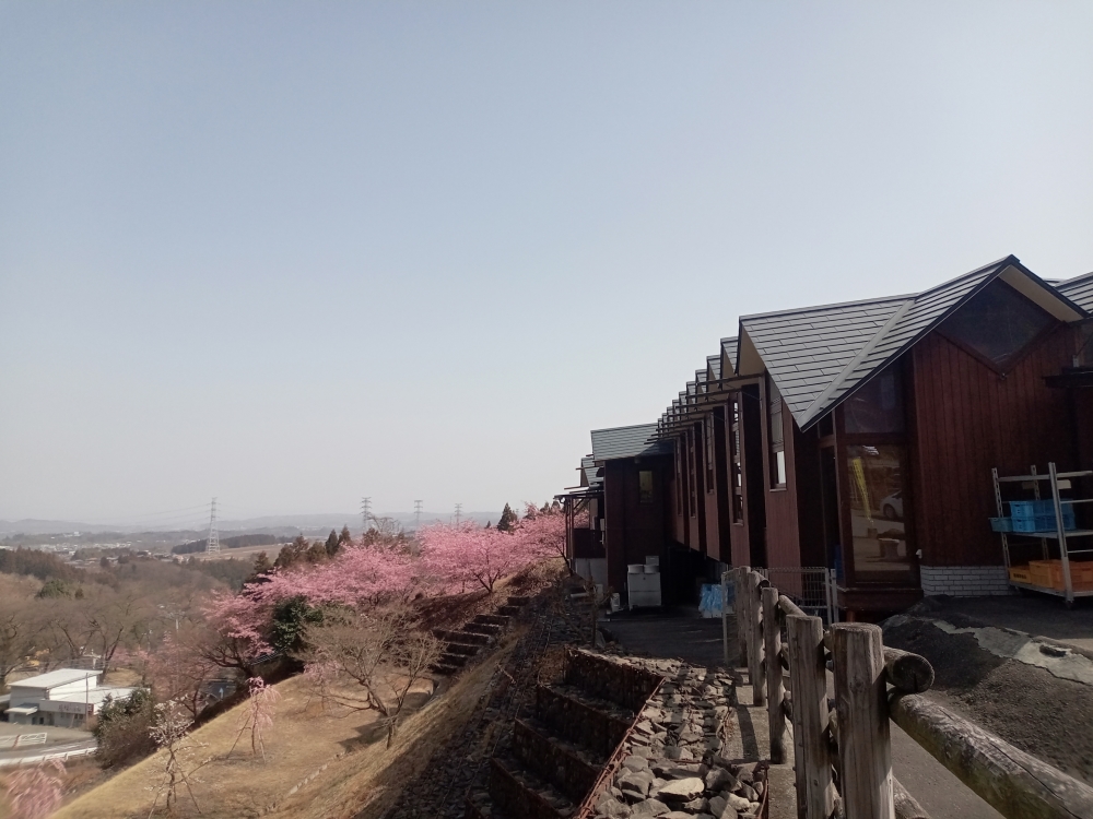 道の駅 みょうぎ【妙義山の壮大な景色と絶品おにぎり】