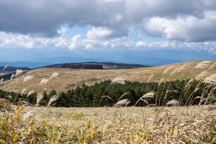 霧ヶ峰高原