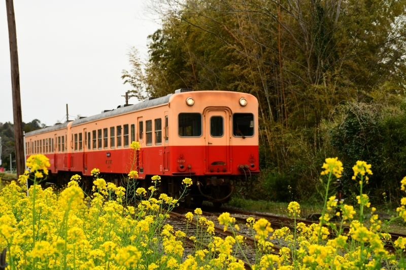 小湊鉄道