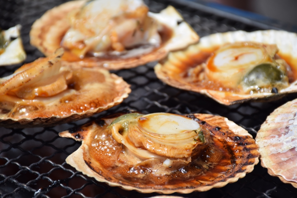 ≪まとめ≫ 浜焼きで思い出作り！ドライブ観光と海の幸を楽しもう