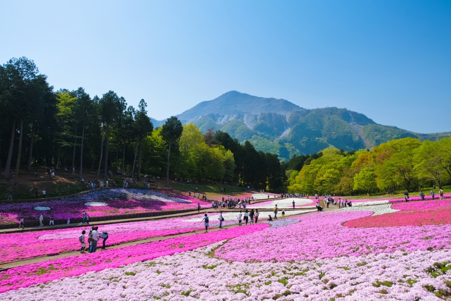 羊山公園