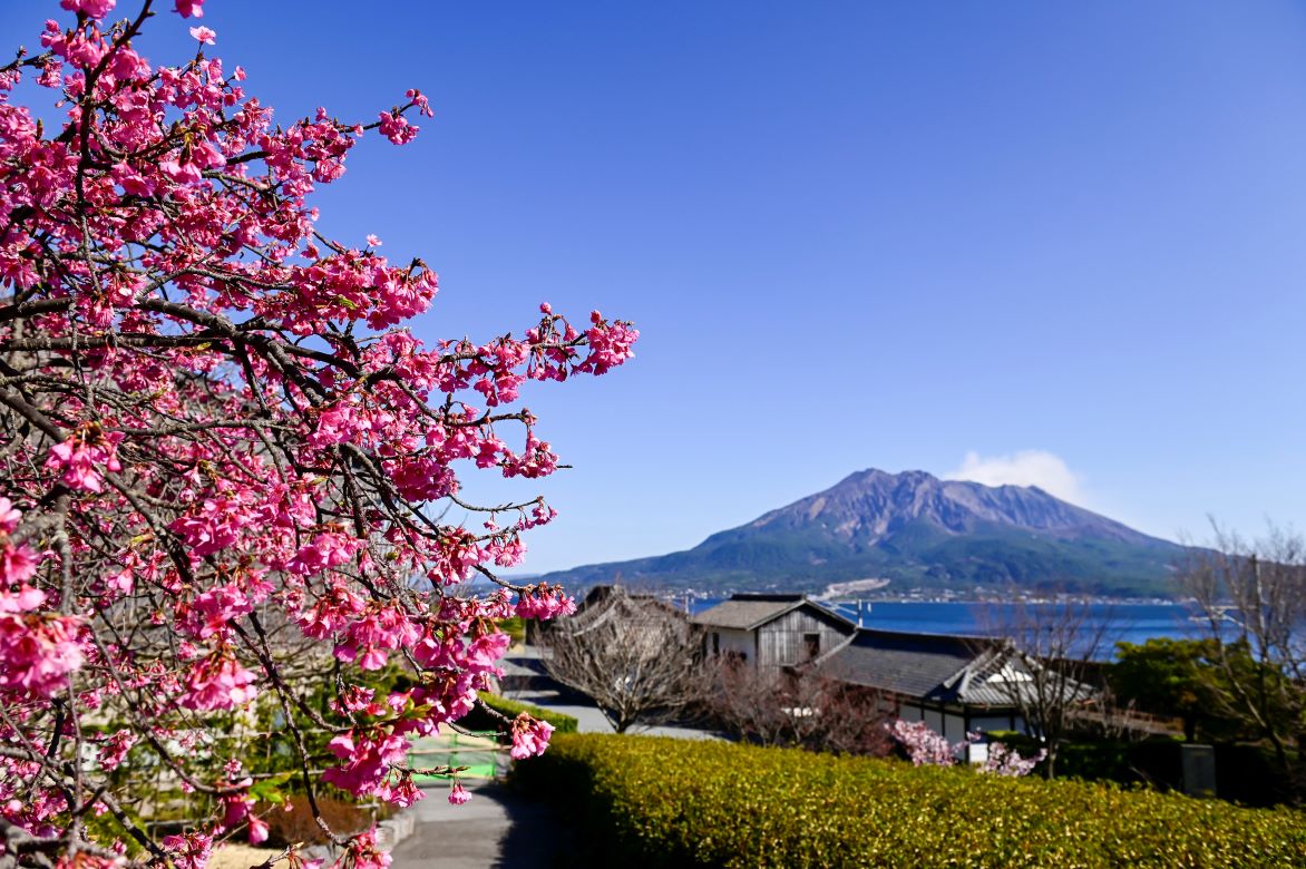 鹿児島を代表する観光地「仙巌園」