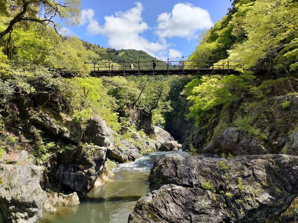 吊り橋から奇岩と清流を望む「鳩ノ巣渓谷」