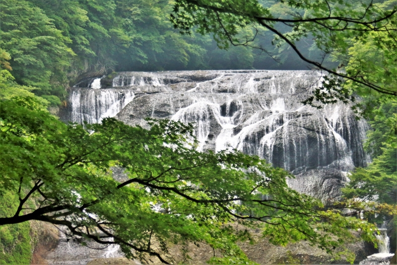 袋田の滝