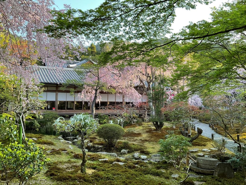 日本庭園を眺めながら名物七草湯豆腐と精進料理を楽しむ「西源院」