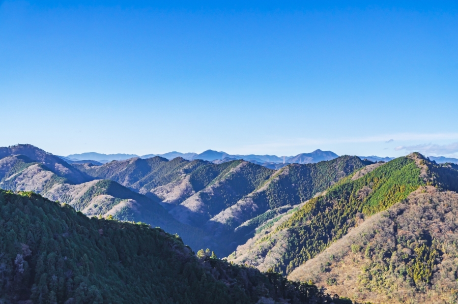 高尾山