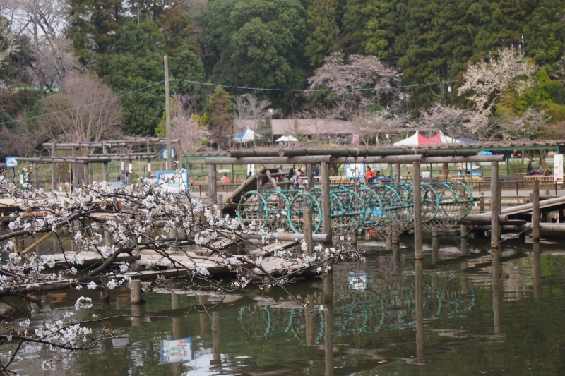 清水公園