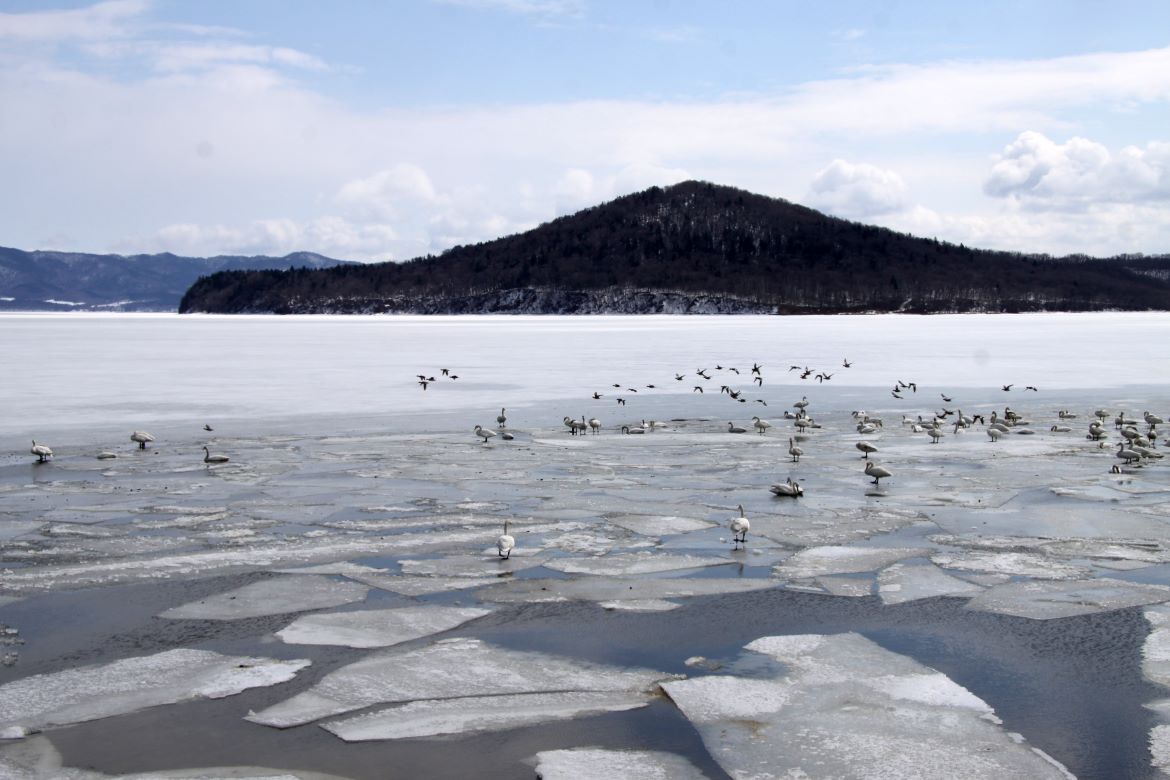 日本最大の汽水湖を一望「サロマ湖/龍宮台展望台」