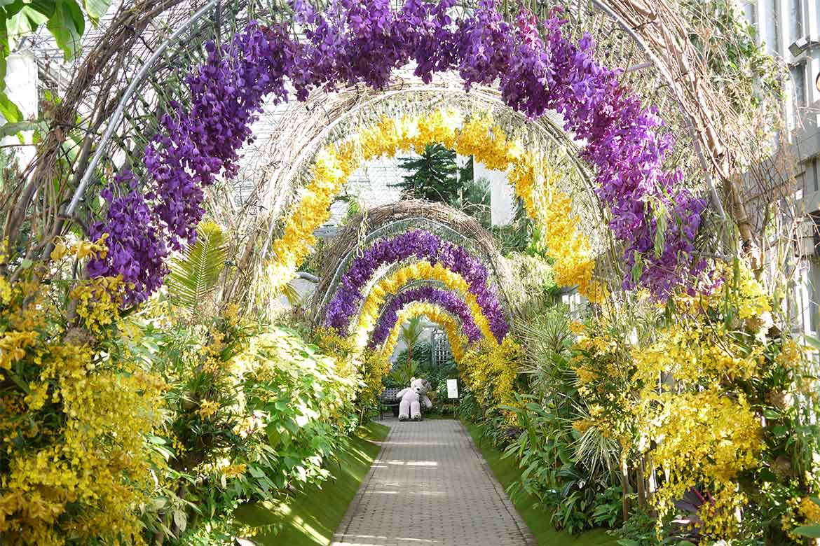 日本最大級の温室が世界の蘭で溢れる！兵庫県淡路市「蘭展 あわじオーキッドフェスティバル2024」