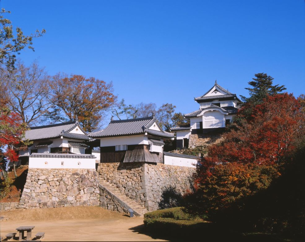 展望台からの幻想的な絶景を堪能「備中松山城」