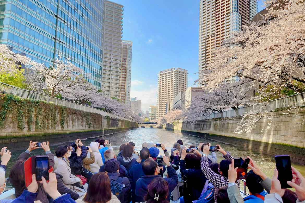 ゆっくりと”見上げる”お花見を満喫。「目黒川お花見クルーズ」3/20～4/7開催