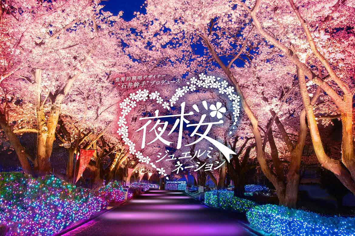 よみうりランドにて幻想的な夜桜を堪能！「夜桜ジュエルミネーション」3/19～4/7開催