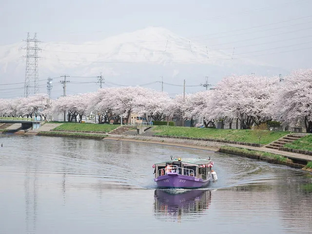 新井田川をのんびりクルーズできる「屋形船みづき」