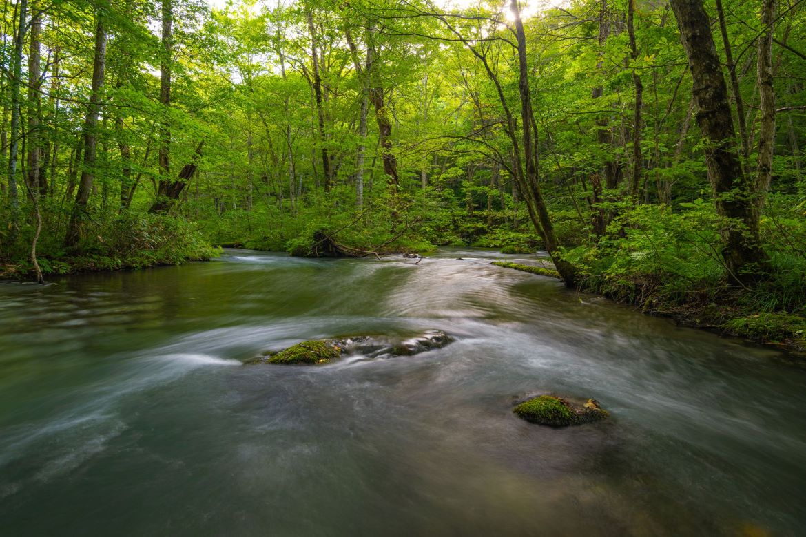 変化に富んだ渓流と新緑に包まれて深呼吸「奥入瀬渓流」