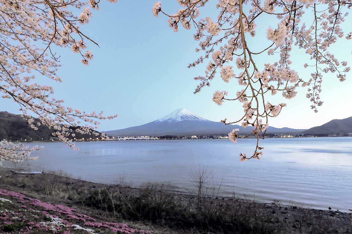 日帰りバス旅行「富士山×桜」撮影ツアー開催！大人気スポットでこの時期だけの絶景を撮影