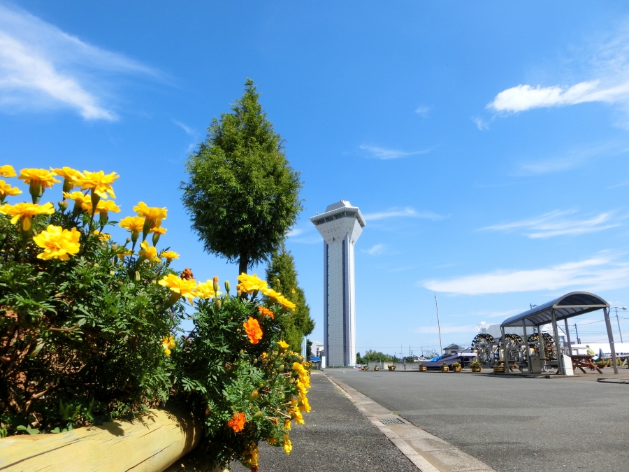 道の駅 たまつくり【鯉やナマズのご当地バーガー】