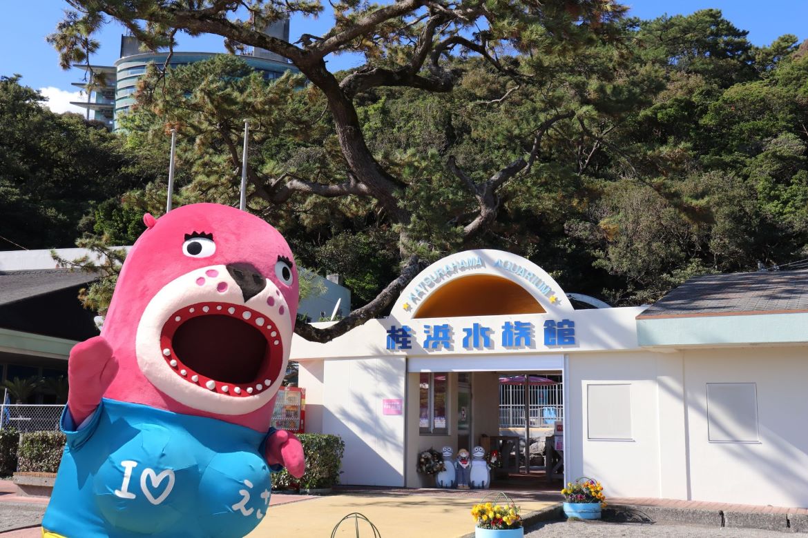 まさに「クセつよ！」　ユニークな展示が魅力の「桂浜水族館」