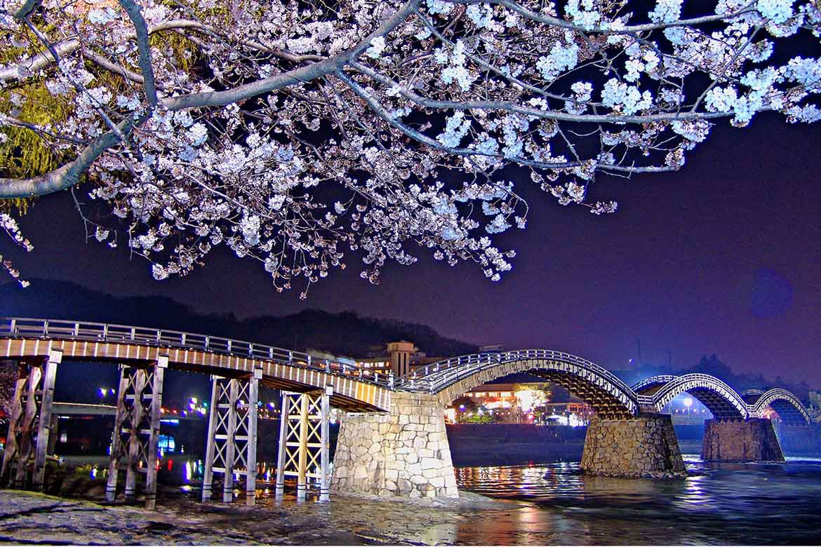幻想的な夜を堪能しよう！山口県岩国市「錦帯橋の桜ライトアップ」開催