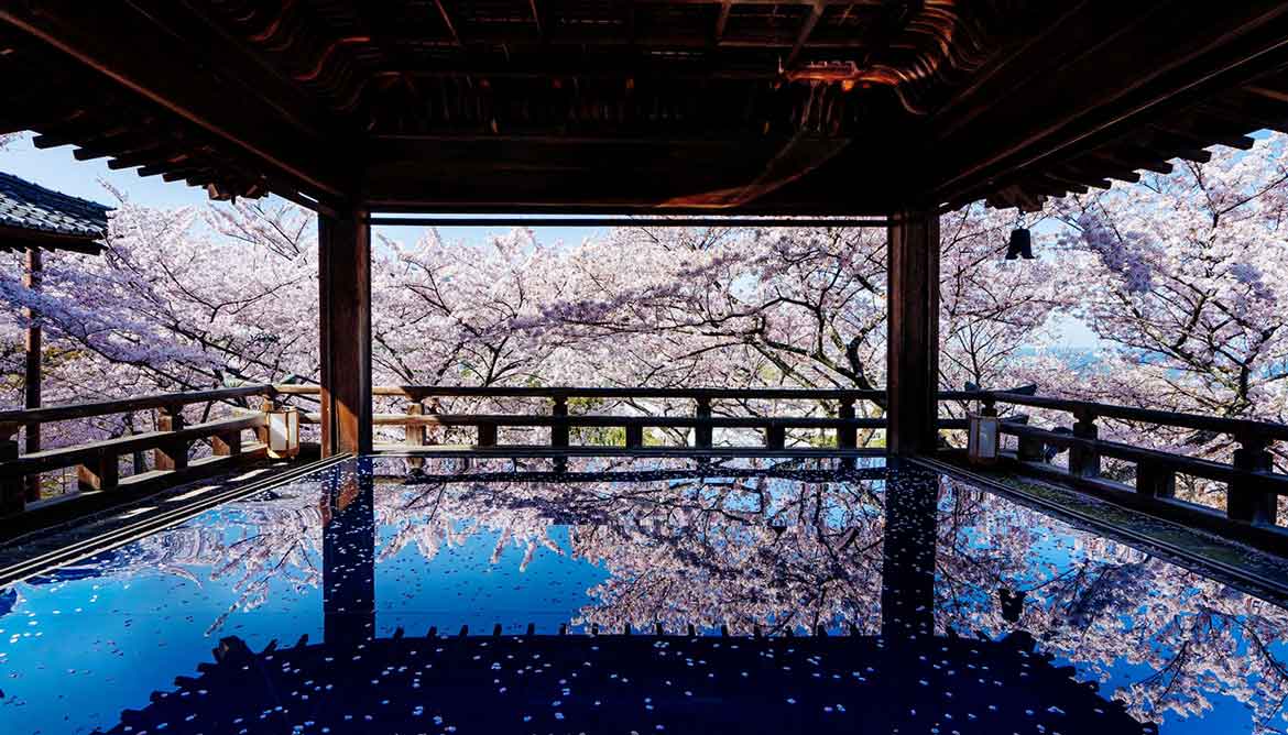 びわ湖大津プリンスホテル、1日3組限定の春のびわ湖旅満喫プラン「BIWAKO Flower Stay」