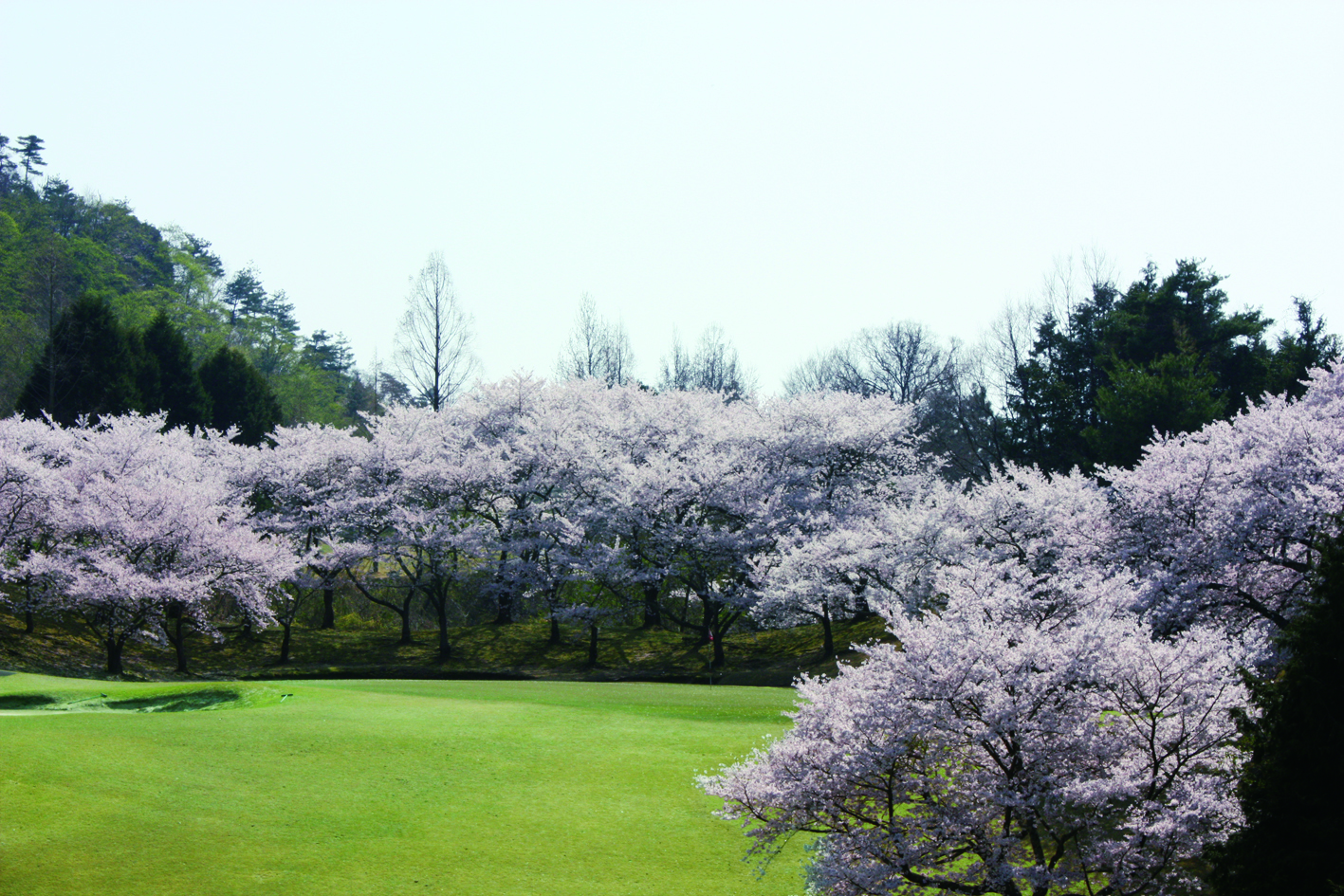 宮島志和カンツリー倶楽部（広島県）