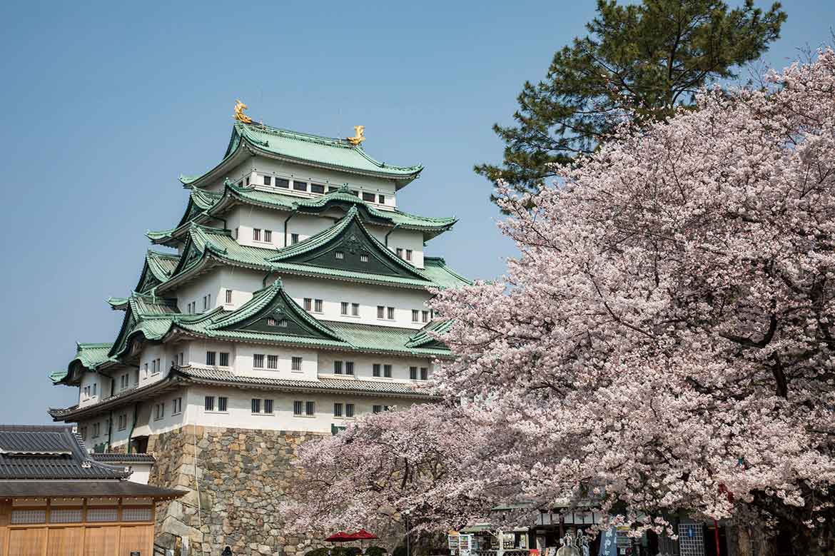 桜が咲き誇る名古屋城で春を満喫。「名古屋城 春まつり」3/23より開催