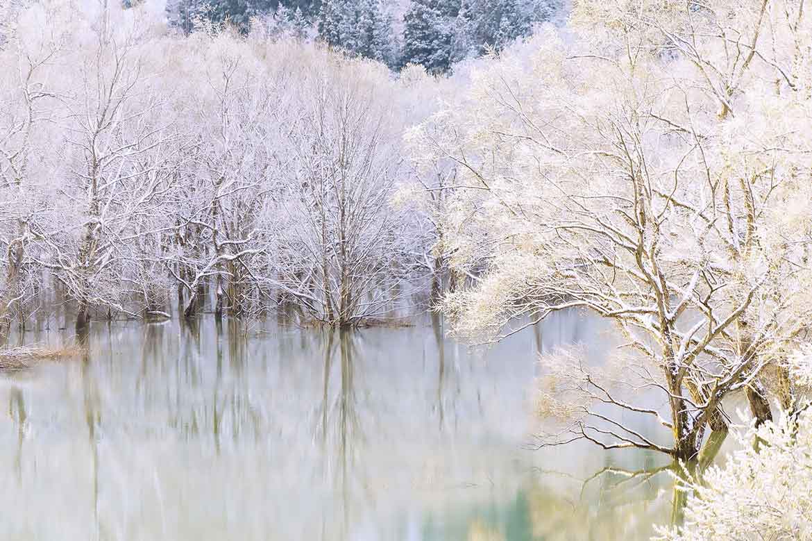 神秘的な”白川湖の水没林”を気球に乗って鑑賞！「雪原気球フライト体験」初開催