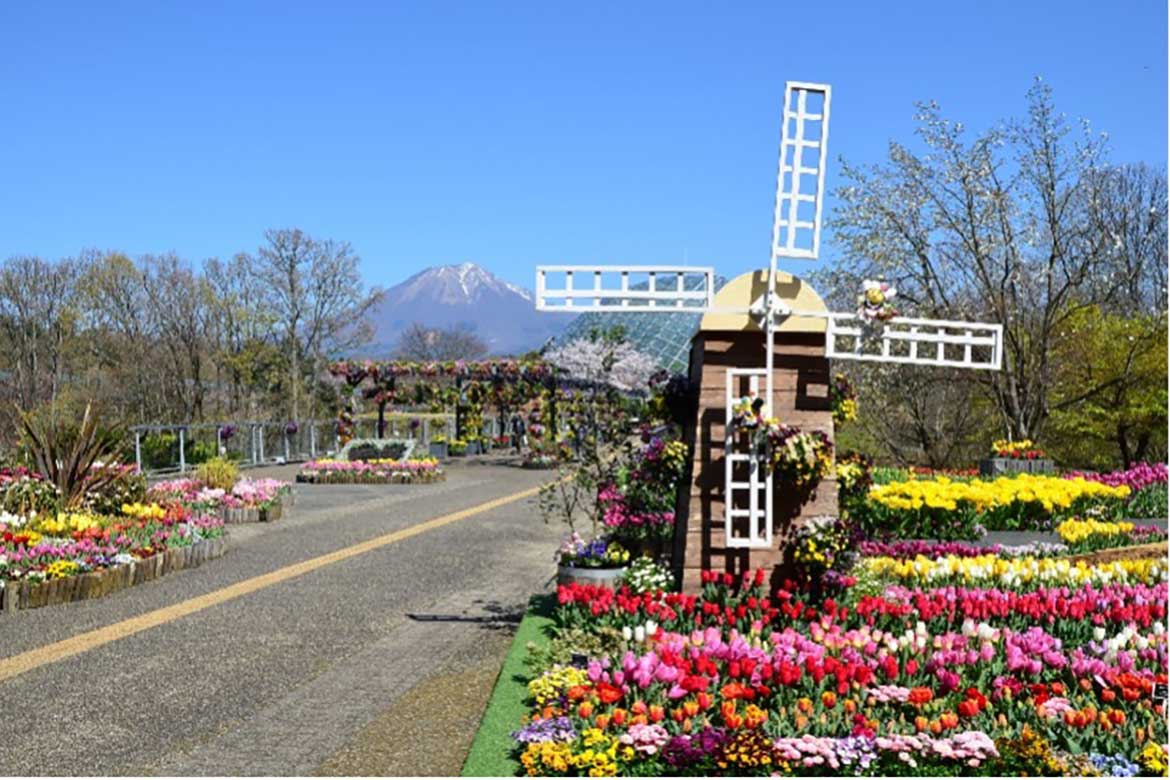 四季折々の花を楽しむ幻想的世界へ「とっとり花回廊」