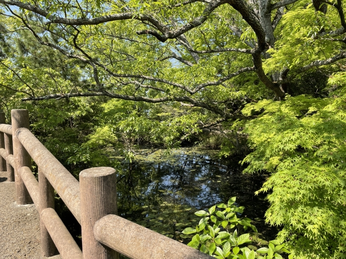 血の池（瑠璃宝の池）