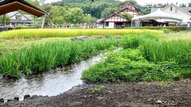 ４．【遊ぶ】道の駅川場田園プラザで体験できるアクティビティ