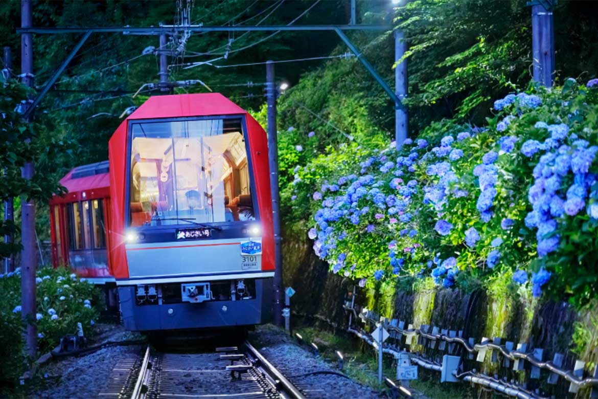 箱根、初夏の風物詩！あじさいの中を進む観光列車「夜のあじさい号」6/15より運行