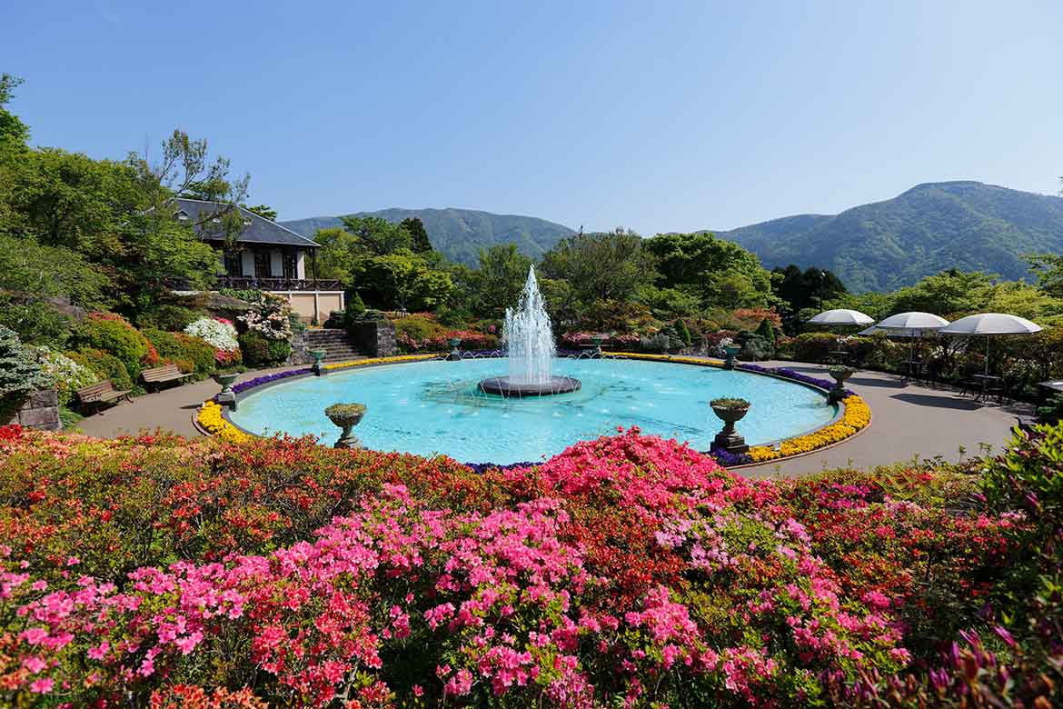 箱根観光をお得に！『箱根強羅公園 開園110周年アニバーサリーキャンペーン』を開催