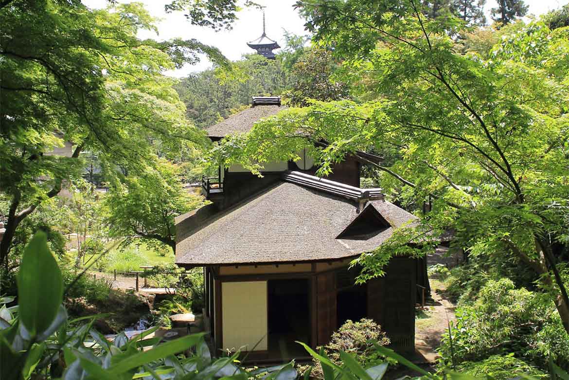 百花繚乱の日本庭園で楽しむ古建築の絶景。横浜・三溪園、新緑の遊歩道を特別開放