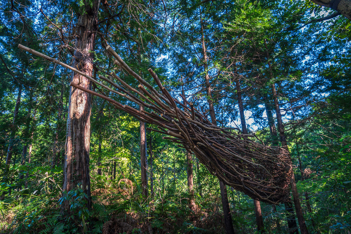 自然とアートの融合！熱海市 LAND ART PARK「ACAO FOREST」にて、アート作品を展示