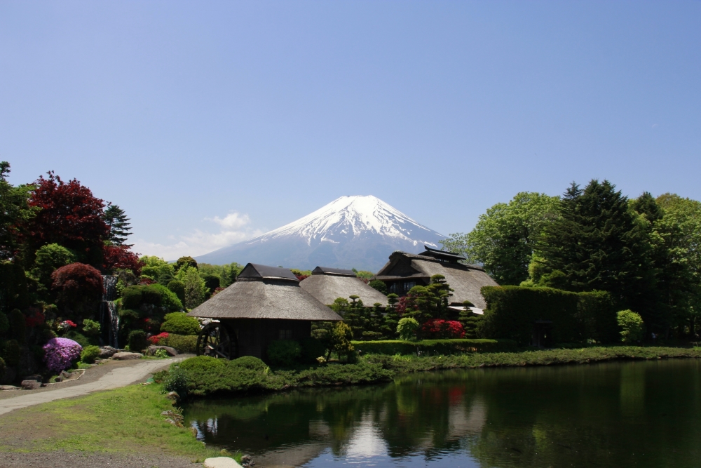 山梨の日帰り観光を楽しむモデルコース3選!絶景・グルメを満喫しよう