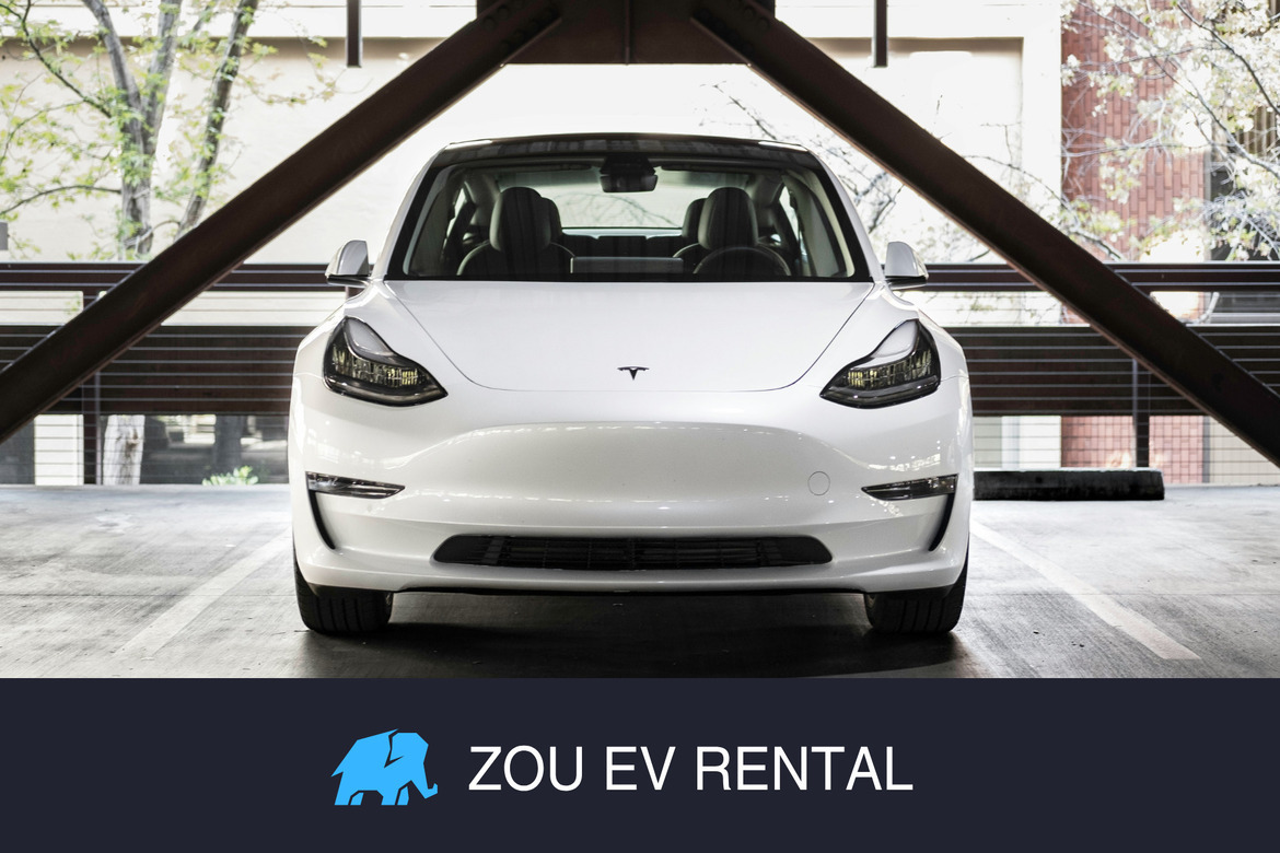 東京・神奈川・埼玉まで宅配!電気自動車専門の宅配レンタカー「ゾウEVレンタル」長期レンタルプランスタート