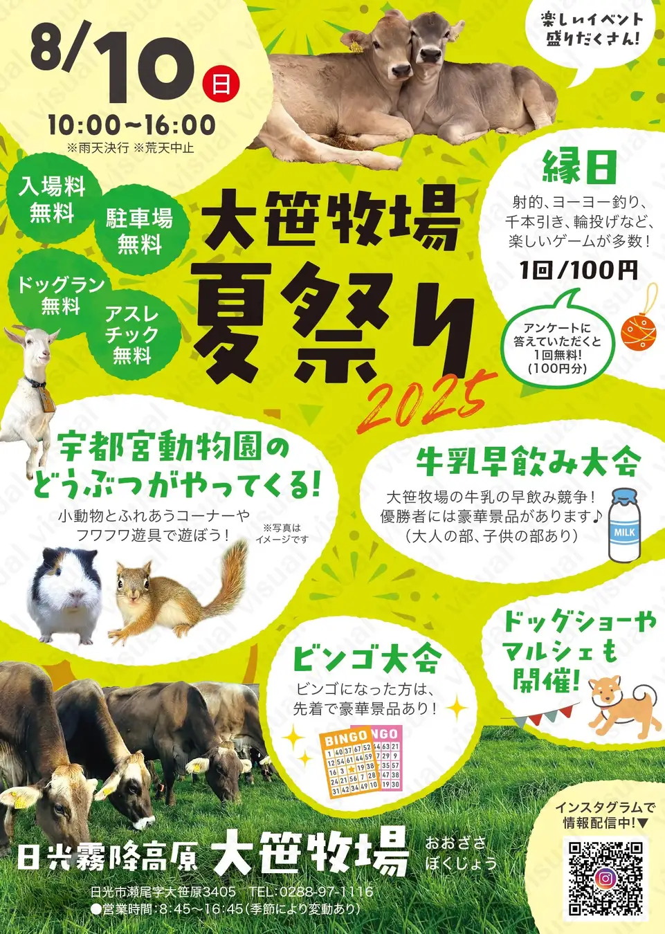 大笹牧場で「夏祭り2025」開催！牛乳早飲みや動物ふれあいも満喫