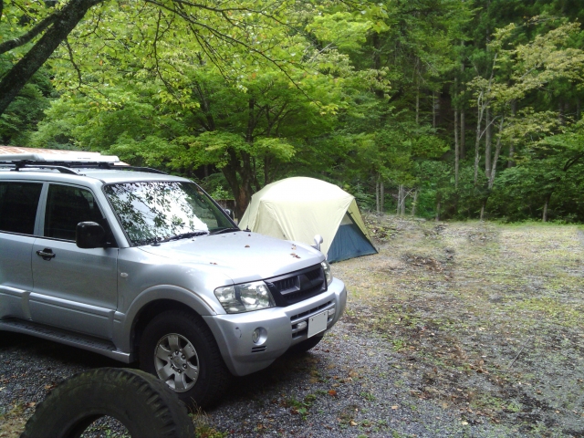 山や高原ドライブ後の洗車は樹液や泥落とし