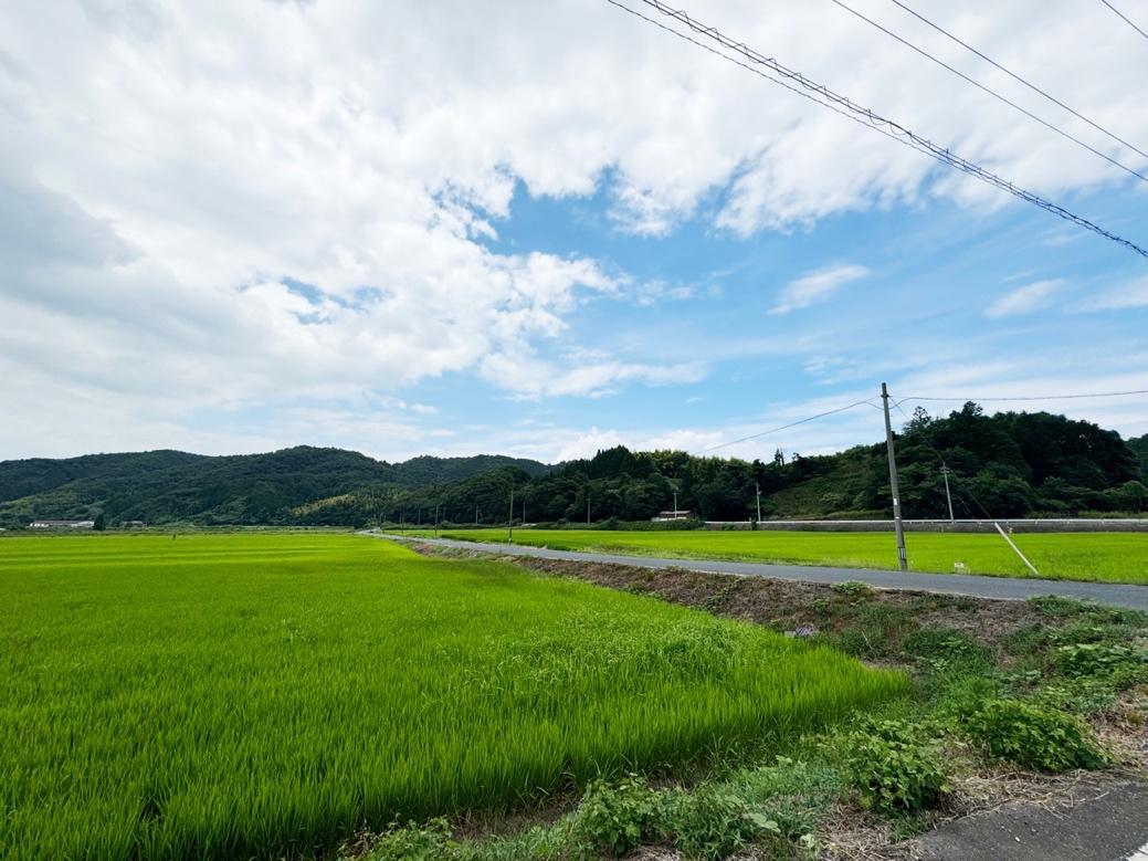 道の駅から車で約10分。滝でモーニングタイム！