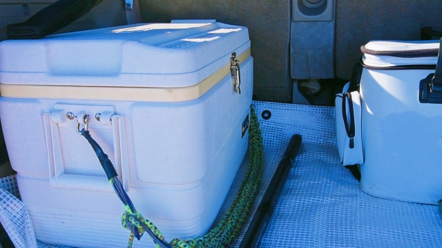 ⑦お土産入れにも役立つクーラーボックス