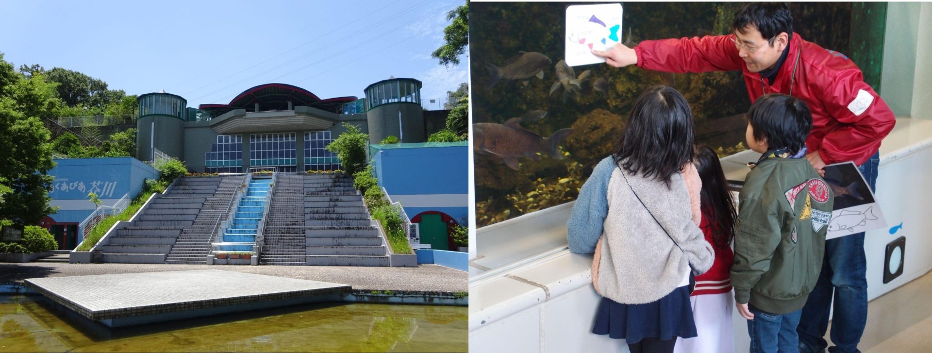 親子で学んで遊べる高槻の自然と生き物に出会える場所 / 高槻市立自然博物館(あくあぴあ芥川)