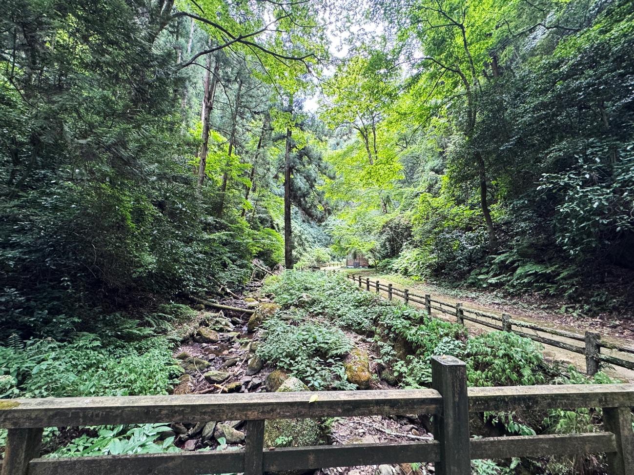 早起きした日は、滝を見ながら朝ごはん！ Vol.1