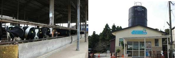 動物とのふれあいと自家製ジェラートが楽しめる / 成田ふれあい牧場