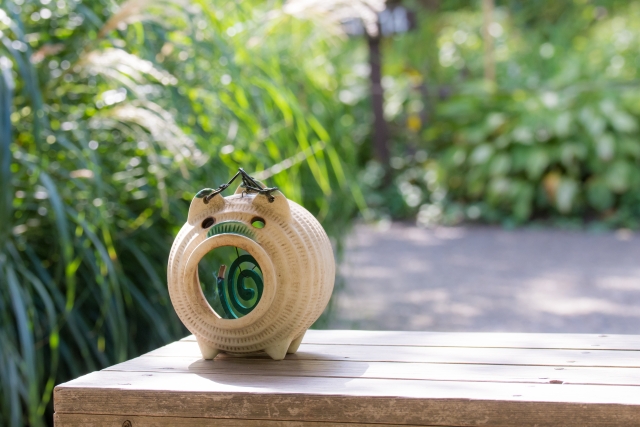 ⑩山に行く時は虫よけグッズを忘れずに