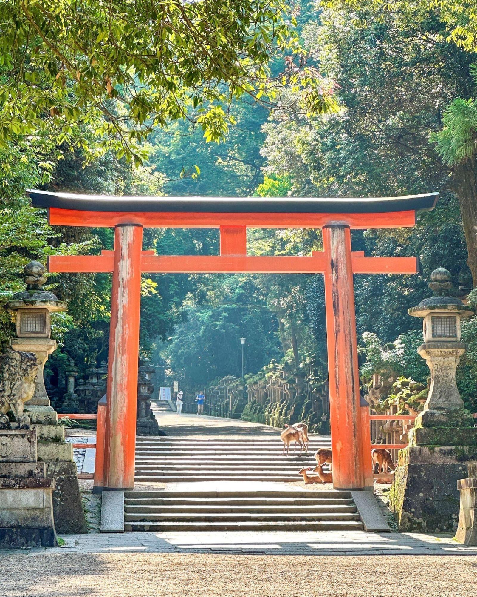 神秘的な自然に囲まれた世界文化遺産 / 春日大社・春日大社国宝殿
