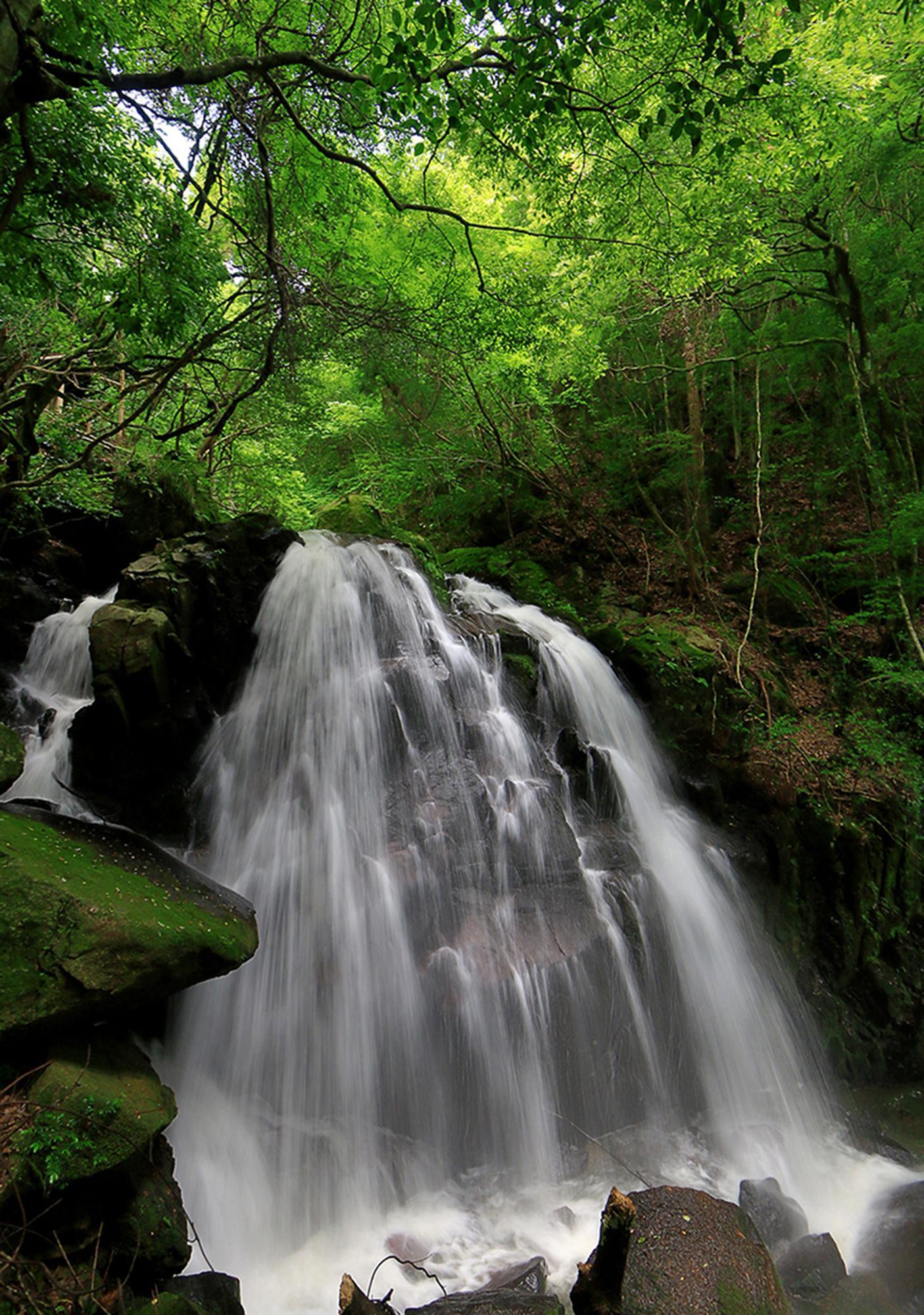 伝説の黄金の鶏が導く大小8つの滝が織りなす自然美 / 鶏鳴の滝(けいめいのたき)